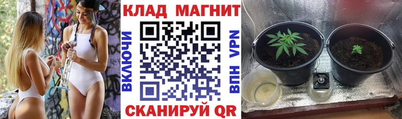 Наркотические вещества Тихвин АМФЕТАМИН МЕФ ГАШИШ Каннабис Кокаин