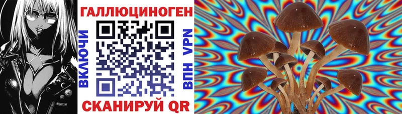 где купить наркотик  Тихвин  MEGA маркетплейс  Псилоцибиновые грибы Cubensis 