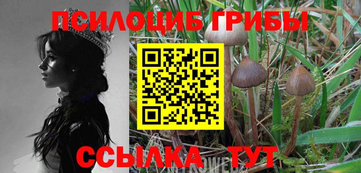 ГАШИШ Тихвин
