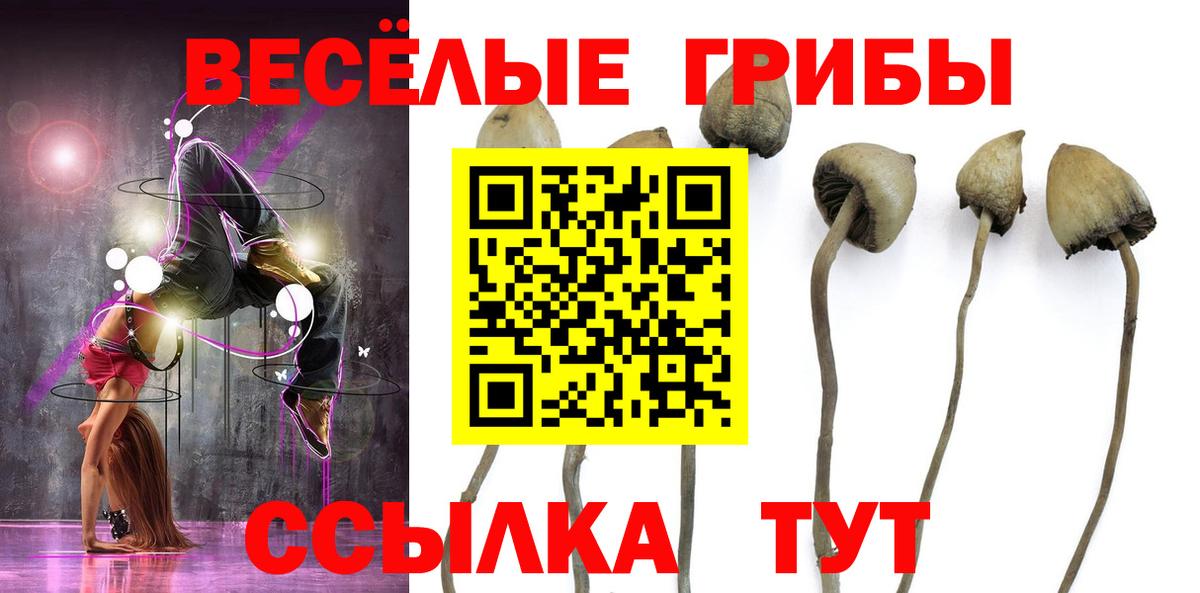 Галлюциногенные грибы Magic Shrooms Тихвин