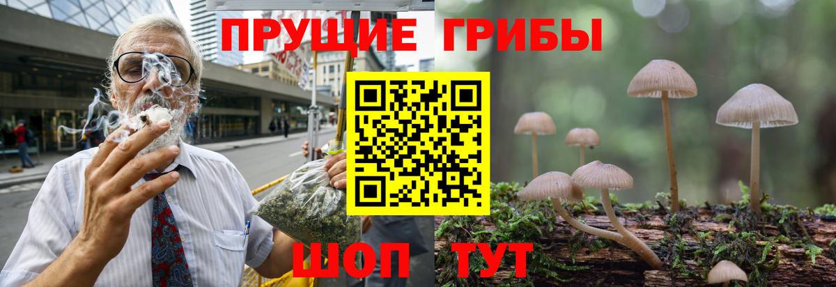 Тихвин  Галлюциногенные грибы GOLDEN TEACHER  хочу наркоту  Вход с VPN 
