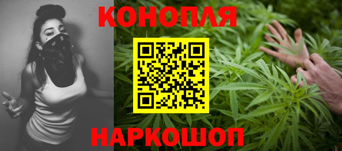 Бошки Шишки семена Тихвин